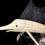 Скульптура из кости "Рыба парусник", фотография 7. Интернет-магазин ЛАВКА ПОДАРКОВ