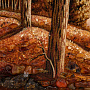 Янтарная картина "У лесного озера" (в ассортименте), фотография 4. Интернет-магазин ЛАВКА ПОДАРКОВ