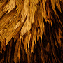 Деревянное настенное панно "Лев" 69 х 58 см, фотография 4. Интернет-магазин ЛАВКА ПОДАРКОВ