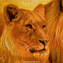 Картина янтарная "Львы - царственная пара" 60 х 80 см, фотография 6. Интернет-магазин ЛАВКА ПОДАРКОВ