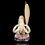 Скульптура из кости "Мамонт", фотография 5. Интернет-магазин ЛАВКА ПОДАРКОВ