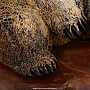 Скульптура из кости кита "Медведь с рыбой", фотография 6. Интернет-магазин ЛАВКА ПОДАРКОВ