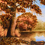 Картина янтарная "Озеро" 28х48 см, фотография 3. Интернет-магазин ЛАВКА ПОДАРКОВ