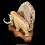 Скульптура из кости кита "Мамонт", фотография 8. Интернет-магазин ЛАВКА ПОДАРКОВ