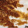 Картина янтарная "Табун лошадей" 98х78 см, фотография 7. Интернет-магазин ЛАВКА ПОДАРКОВ