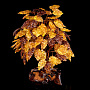 Денежное дерево из янтаря (15 веток), фотография 4. Интернет-магазин ЛАВКА ПОДАРКОВ