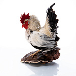  Чучело "ПЕТУШОК" НАСТЕННОЕ/НАСТОЛЬНОЕ
