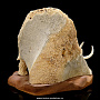 Скульптура из кости кита "Мамонт", фотография 5. Интернет-магазин ЛАВКА ПОДАРКОВ