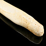 Чукотская булава из кости моржа, фотография 1. Интернет-магазин ЛАВКА ПОДАРКОВ