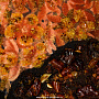 Картина янтарная "Пантера" 70х100 см, фотография 6. Интернет-магазин ЛАВКА ПОДАРКОВ