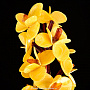 Сувенир "Орхидеи в вазе" (янтарь, оникс), фотография 2. Интернет-магазин ЛАВКА ПОДАРКОВ