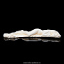 Скульптура из кости "Женщина лежащая", фотография 1. Интернет-магазин ЛАВКА ПОДАРКОВ