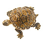 Шкатулка "Черепаха". Традиции Фаберже, фотография 5. Интернет-магазин ЛАВКА ПОДАРКОВ
