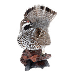 /УПРВ  Чучело "Рябчик" в ассортименте 