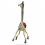 Статуэтка с янтарем "Жираф", фотография 5. Интернет-магазин ЛАВКА ПОДАРКОВ
