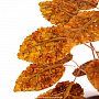 Денежное дерево из янтаря (33 листа), фотография 2. Интернет-магазин ЛАВКА ПОДАРКОВ