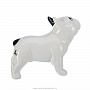 Фарфоровая статуэтка собаки "Английский бульдог", фотография 3. Интернет-магазин ЛАВКА ПОДАРКОВ