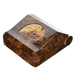 0037171 ШКАТУЛКА "ИЛЛЮЗИОН" 320*290*155  в кейсе (янтарь)