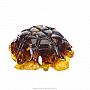 Шкатулка из янтаря "Черепаха", фотография 5. Интернет-магазин ЛАВКА ПОДАРКОВ
