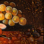 Картина янтарная  "Ваза с фруктами" 30х40 см, фотография 5. Интернет-магазин ЛАВКА ПОДАРКОВ