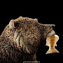 Скульптура из кости кита "Медведь с рыбой", фотография 5. Интернет-магазин ЛАВКА ПОДАРКОВ