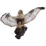 /упр Таксидермия Чучело "ПЛАСТ-ЗИМНЯК" настенное