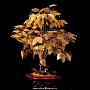 Денежное дерево из янтаря (22 ветки), фотография 2. Интернет-магазин ЛАВКА ПОДАРКОВ