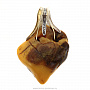 Кулон из янтаря "Янтарное сердце", фотография 1. Интернет-магазин ЛАВКА ПОДАРКОВ