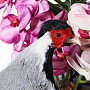 Настенное чучело птицы "Фазан серебристый", фотография 4. Интернет-магазин ЛАВКА ПОДАРКОВ