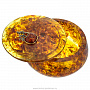 Круглая шкатулка из янтаря "Наливное яблочко", фотография 5. Интернет-магазин ЛАВКА ПОДАРКОВ