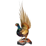  Чучело "ФАЗАН" (венгерский) настольное 