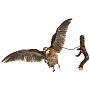Настенное чучело птицы "Вальдшнепа летящий", фотография 2. Интернет-магазин ЛАВКА ПОДАРКОВ