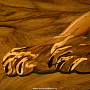 Деревянное настенное панно "Лев" 69 х 58 см, фотография 5. Интернет-магазин ЛАВКА ПОДАРКОВ
