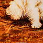 Картина янтарная "Вестхайленд терьер" 30х40 см, фотография 5. Интернет-магазин ЛАВКА ПОДАРКОВ
