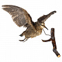 Настенное чучело птицы "Вальдшнепа летящий", фотография 4. Интернет-магазин ЛАВКА ПОДАРКОВ
