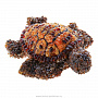 Скульптура из янтаря "Черепаха", фотография 2. Интернет-магазин ЛАВКА ПОДАРКОВ