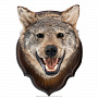 Чучело настенное "Голова волка", фотография 2. Интернет-магазин ЛАВКА ПОДАРКОВ