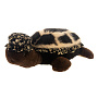 Игрушка из натурального меха "Черепаха", фотография 2. Интернет-магазин ЛАВКА ПОДАРКОВ