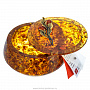 Круглая шкатулка из янтаря "Ива", фотография 6. Интернет-магазин ЛАВКА ПОДАРКОВ