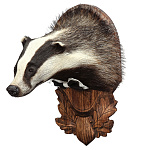  ЧУЧЕЛО "ГОЛОВА БАРСУКА"