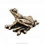 Бронзовая статуэтка "Лягушка в траве", фотография 1. Интернет-магазин ЛАВКА ПОДАРКОВ
