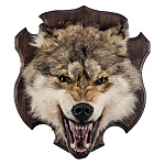 Чучело настенное "Голова волка"