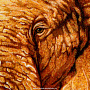 Картина янтарная "Слоны" 51х111 см, фотография 3. Интернет-магазин ЛАВКА ПОДАРКОВ