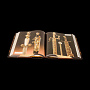 Подарочная книга "Охота" Блюхель К. Г. Кожаный переплёт, фотография 12. Интернет-магазин ЛАВКА ПОДАРКОВ