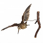 Настенное чучело птицы "Вальдшнепа летящий", фотография 3. Интернет-магазин ЛАВКА ПОДАРКОВ