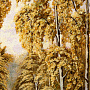 Картина янтарная "Березы у воды" 60х80 см, фотография 4. Интернет-магазин ЛАВКА ПОДАРКОВ