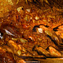 Янтарная картина "Домик у ручья" 60х80 см, фотография 5. Интернет-магазин ЛАВКА ПОДАРКОВ
