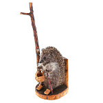  Таксидермия Чучело ЕЖА настенно-настольное