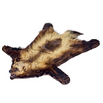 Таксидермия. Ковер из шкуры росомахи