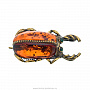 Брошь с янтарной вставкой "Майский жук", фотография 1. Интернет-магазин ЛАВКА ПОДАРКОВ